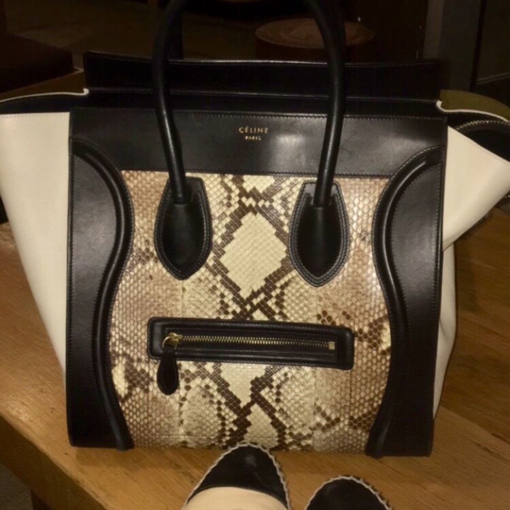 Celine Python 🐍 Handbag - Picture 2 of 13